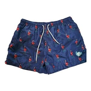 PHISH Men's Blue Flamingo Swim Shorts